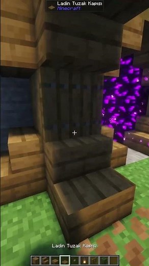 Rustic Portal Build – Natural & Cozy Style! 🔥 | Minecraft Shorts