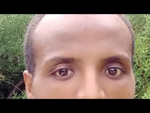 GENERAL PHYSICS CHAPTER THREE, PART II