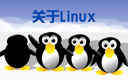 Linux内核网卡的那些事