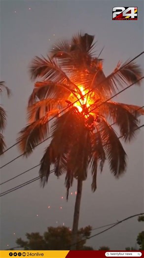 പത്തനംതിട്ടയിൽ പെട്രോൾപമ്പിന് സമീപം തെങ്ങിന് തീപ്പിടിച്ചു; അഗ്നിശമനസേനയെത്തി തീ അണച്ചു