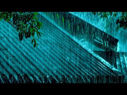 Heavy Rain and Thunderstorm Sounds on a Tin Roof for Deep Sleep, Relaxation, and Insomnia Relief
