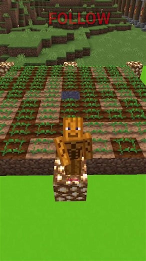 Chunk loading in Minecraft is complicated but if you know how to use