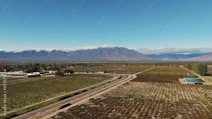 Vineyard in Calchaqui Valleys, Argentina, grape plantation in South America