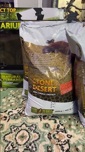 Exo Terra Leopard Gecko 40 gallon build