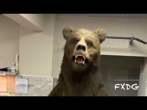 animatronic bear costume from FXDG