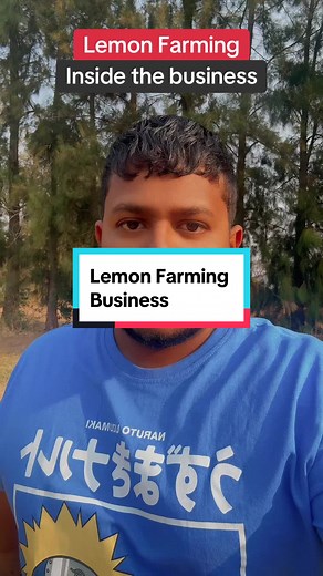 Want to start your own Lemon Farming Business ? •It's essential to choose the right location with plenty of sunlight and well-draining soil. •Lemon trees thrive in warm climates and require regular watering, especially during dry periods. •Pruning is crucial to promote healthy growth and fruit production. •Fertilizing the trees with a balanced citrus fertilizer can help ensure optimal growth and fruit quality. Remember, patience is key as lemon trees typically take a few years to reach full frui