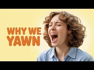 “Why Do We Yawn? The Surprising Science Explained”