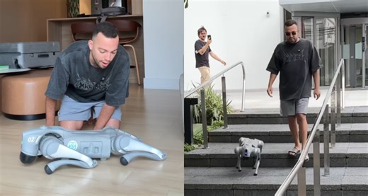 Quanto custa um cachorro-robô, como o de Lucas Rangel? | CNN Brasil