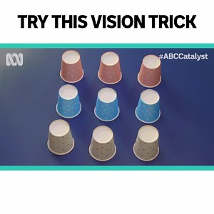 5.7M views · 477 reactions | Can you see through this illusion? 類 | ABC iview | Facebook