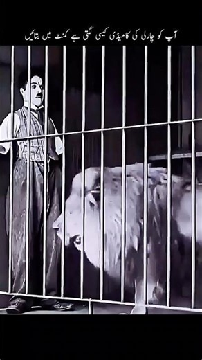 Comedy ka king 👑 #funny #shorts