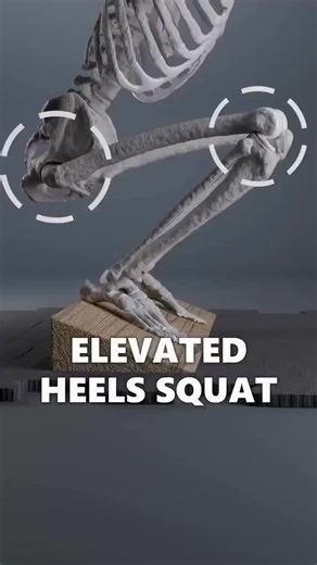 Physiocity Academy of Rehabilitation Sciences on Instagram: "Squatting with lifted heels 🦶⬆️ ✔️ Increases ankle dorsiflexion ✔️ Helps achieve deeper squat ✔️ Reduces forward trunk lean ✔️ Useful for beginners & mobility-limited athletes Train smart, not just hard 💪 🎥 Credit: @anatomy.of.motion #SquatMechanics #PhysioEducation #MovementScience #AnatomyInMotion"