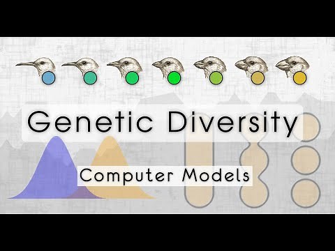 How Species Evolve: Simulating Genetic Diversity