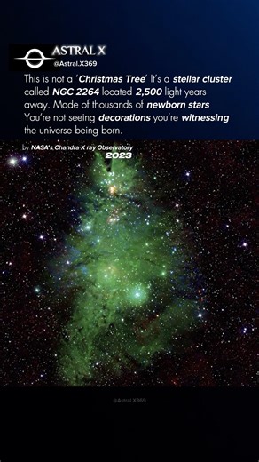 This Isn’t a Christmas Tree it’s a stellar cluster #shorts #space