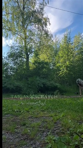 out of frame, but this was pretty high!!#quadrobics #cringe ##quadrobicsjump #taigascratch #meme