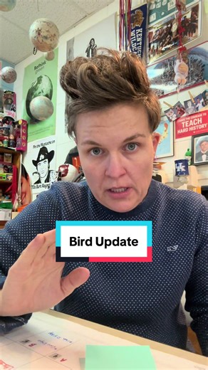 Exciting Parakeet Update from the Classroom