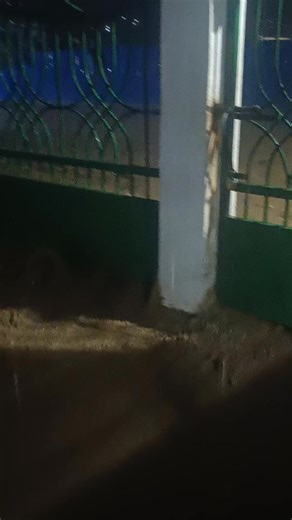 Baha na😭 | choi choi vines