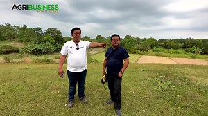 9.2K views · 281 reactions | Cassava Farming: Sobrang Laking Opportunity, Wag na wag Palalampasin sa Pinas! Dr. Richard Torno 09195729215, Florida Blanca, Pampanga. AGRIBUSINESS MERCH https://shopee.ph/agribusinesshowitworks | WANT TO BE FEATURED? CONTACT Messenger: Buddy Gancenia, 09178277770 | Agribusiness How It Works. Instruct. Inspire. Succeed. | Agribusiness | Facebook