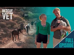 Tenerife's Haven for Neglected Animals