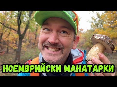 #Изобилие от #гъби през #ноември