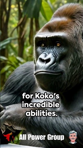 Koko the Gorilla - A Sign Language Prodigy