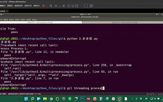 2021-11-17_12_39_15 python GIL全局解释器锁的简单理解