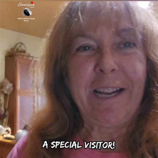 Ewetopia Farms on Reels