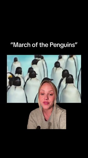 Exploring 'March of the Penguins': A Wholesome Documentary