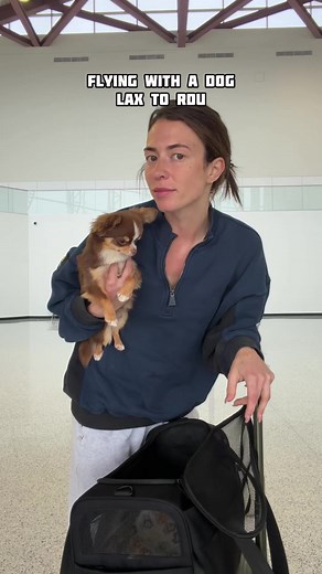 Victoria Paris (@victoriaparis)’s video of can i pet that dog