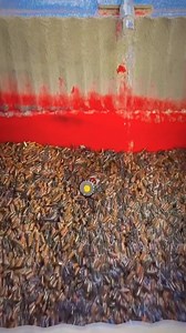 Isotropic micro polishing isn’t just shine - it’s science. By eliminating microscopic peaks and valleys in your engine or transmission components, micro polishing reduces friction, lower temps, and extends the life of your parts. 💪🏻 🔥 ⚙️ #isotropic #micropolishing #performance #performancematters | Revolution Performance