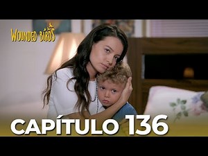 Omer Sueños Robados | Capítulo 136