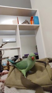 4 comments | Make a baby baby | Marnie Banzon Sims | Facebook