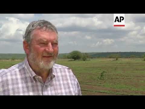 White Kenyan accents