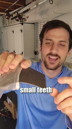 Catfish Fishing Tips & Tricks For Beginners: Wear Gloves, Clean Cuts Or Risk Infection: FATKAT Rigs