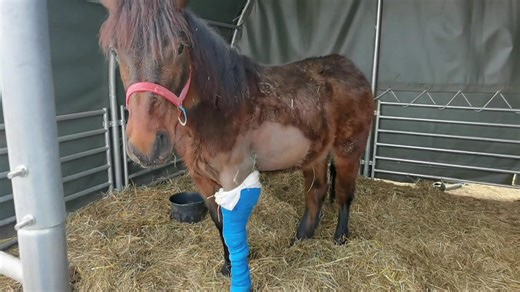 140K views · 3.2K reactions | Manchmal kommt es anders als man denkt...