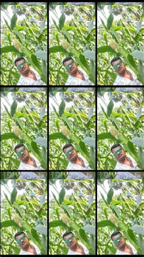 Nayana Lage neh ke Sagar #youtube #trending #pawan Singh #shorts #vlog