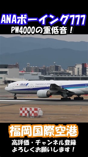 【音量注意】PW4000の重低音！ANA B777-300 離陸滑走のエネルギーが凄まじい ✨