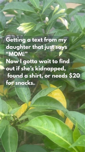 #fblifestyle | Awesome Funny Tees