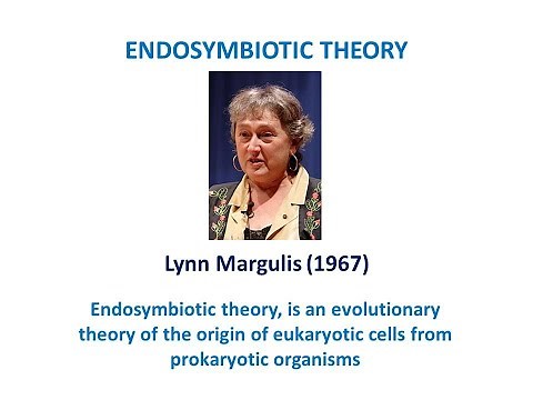 ENDOSYMBIOTIC THEORY