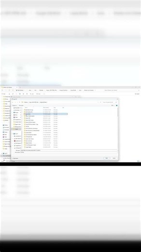 Exporting and Reviewing Domain Data Files: A Step-by-Step Walkthrough