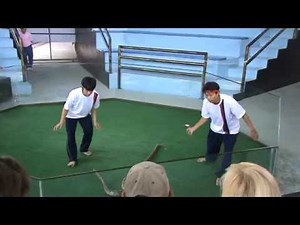 Snakes cobra show Part 4