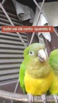 vc aí pode me dizer quando ? se escreve no canal