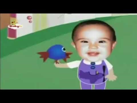Baby tv birthday reversed
