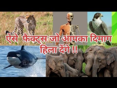 Amazing Facts That Will Blow Your Mind | रहस्यमयी और साइंटिफिक फैक्ट्स | ‪@FactFusionKS‬ #ytvideo