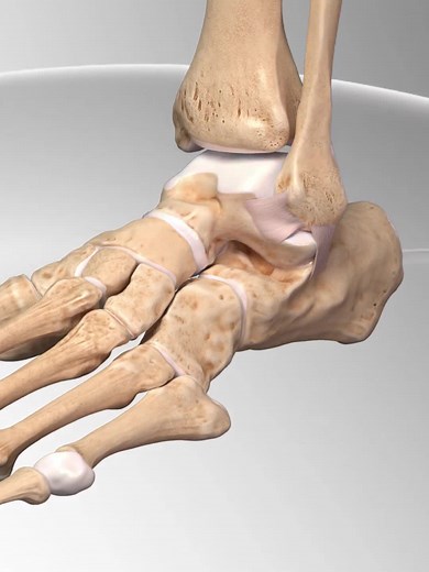 Ankle Sprain Repair Animation