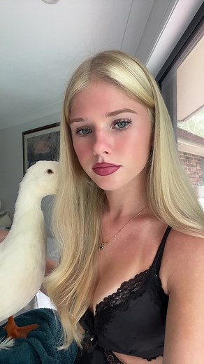 Adorable Baby Ducks: Cute Moments to Brighten Your Day