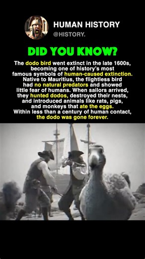This Bird Went EXTINCT #history #facts