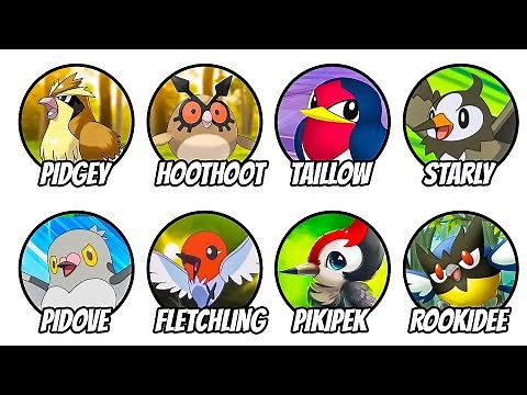 Every Regional Bird Explained in 15 minutes