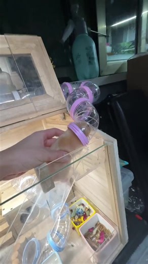 New Home for Your Cute Hamster - Find the Perfect Habitat