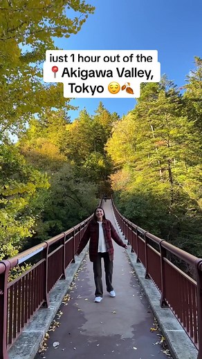 Exploring Nature at Akigawa Valley, Tokyo - Tokyo Travel Guide