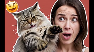 Savage Cat Moment: The Slap That Went Viral! 😂🔥